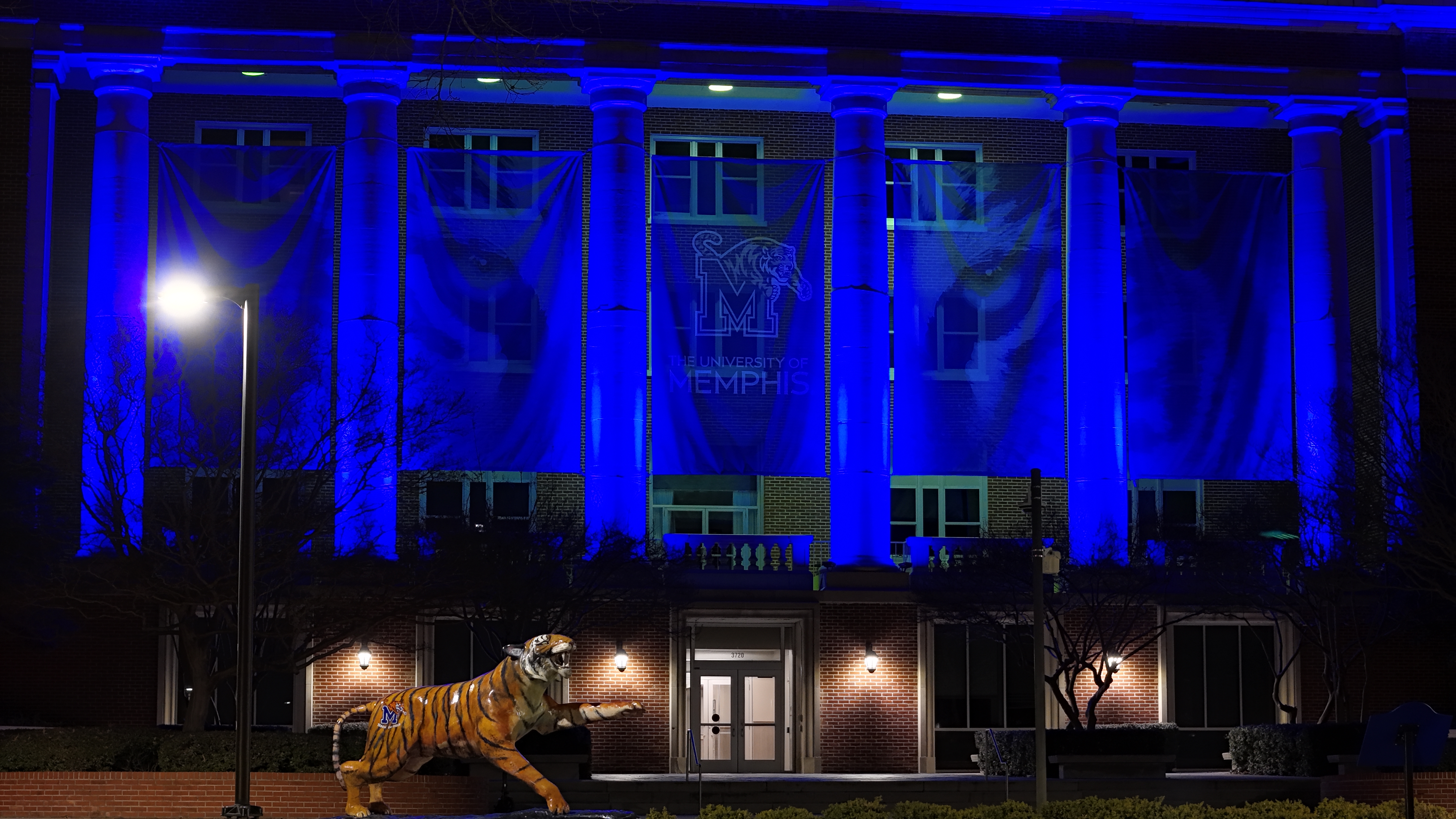 dji fly 20260212 191232 0114 1771003117613 photo